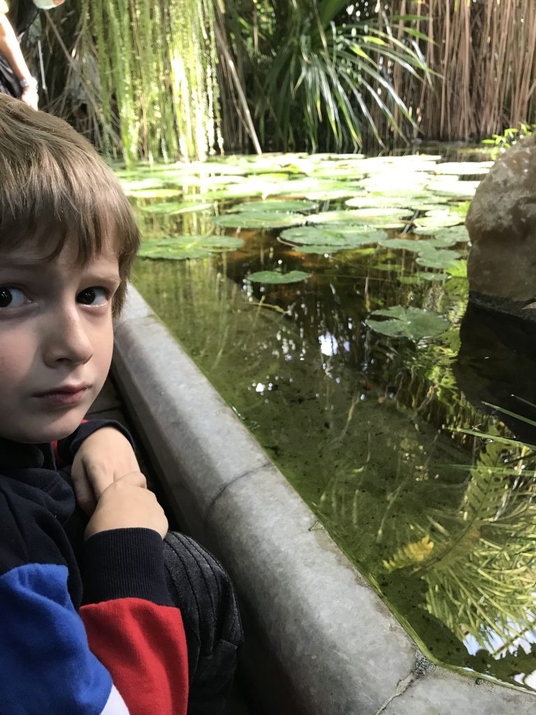 młody chłopak stojący obok zbiornika wodnego.