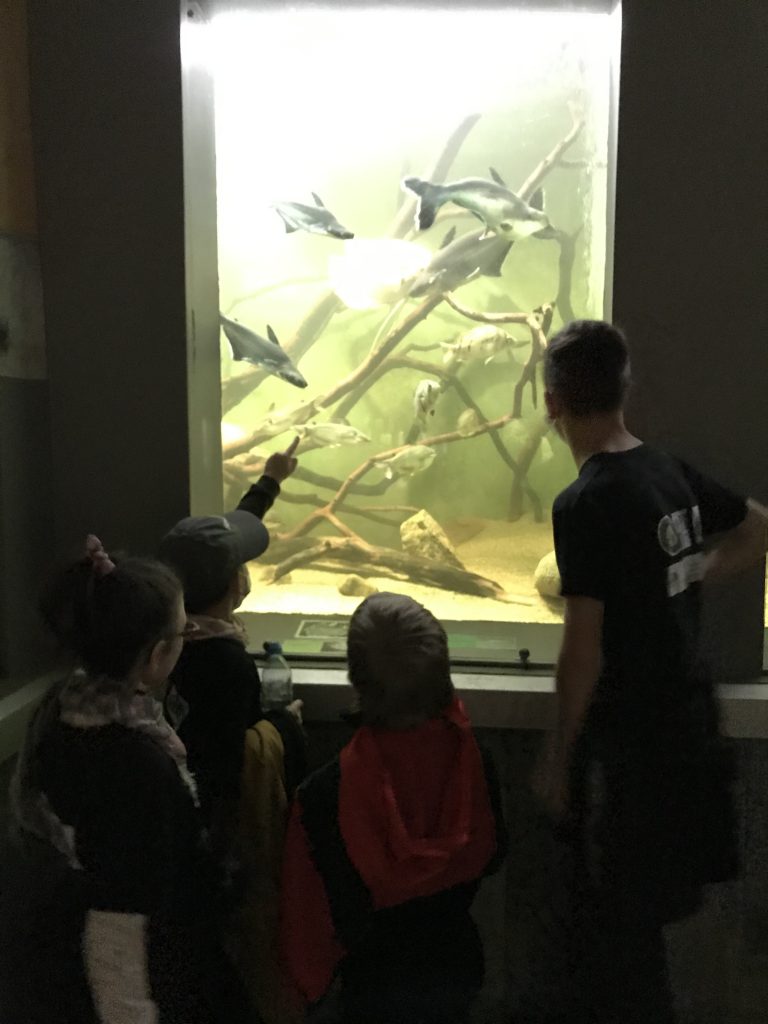 grupa dzieci patrząc na akwarium.