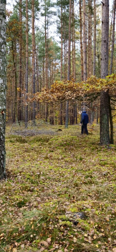 Wychowankowie internatu przemierzają las w poszukiwaniu oznak jesieni